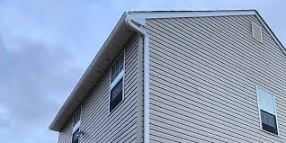 Best Vinyl Siding Installation  in Hlsboro, IL